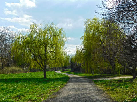 Út Balatonfűzfőn
