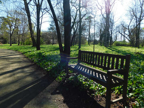 Nádasdy-kastélypark - Nádasdladány