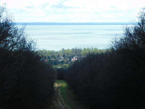 Balatonfűzfő, erdei út, Balaton, Fűzfői öböl