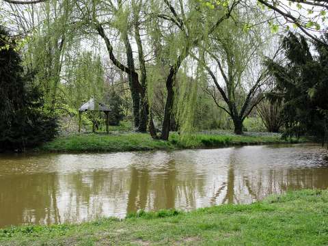 kertek és parkok tavasz