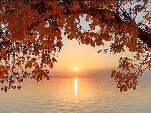 balaton magyarország tó