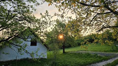 Napkelte a szőhegyen