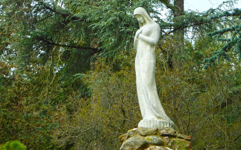 A Folly Arborétumban - Badacsonyörs