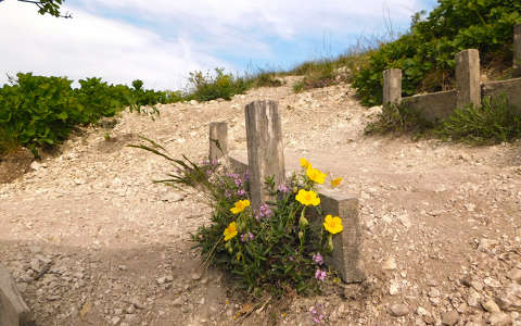 Balatonfüred, Tamás-hegyi kilátópont