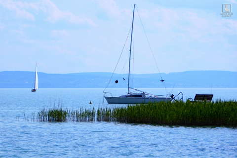 balaton, nádas, vitorlás