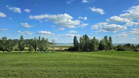 tavasz