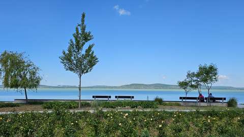 balaton magyarország pad tavasz