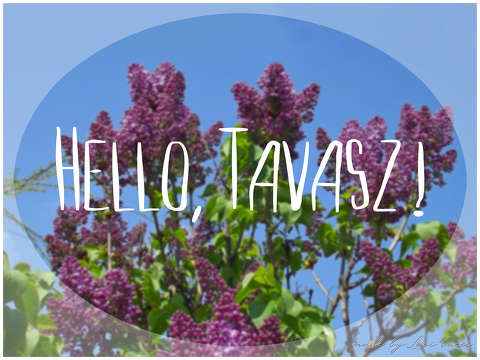 tavasz, grafika