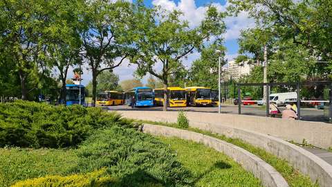 busz címlapfotó tavasz
