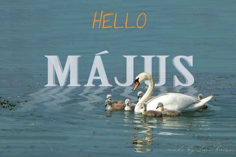május, grafika