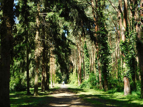 Szombathely, Kámoni arborétum