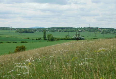 Dombok, vonalak