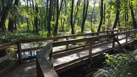 Tatai-Fényes tanösvény