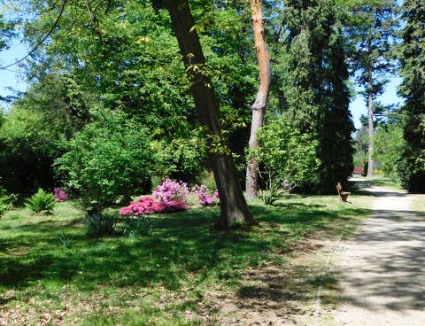Szombathely, Kámoni arborétum