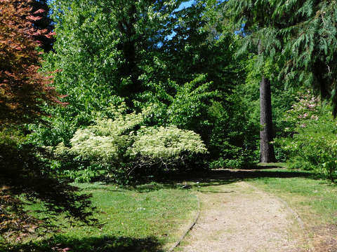 Szombathely, Kámoni arborétum