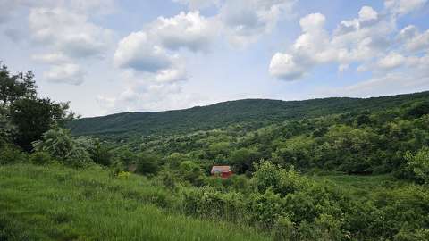 ház tavasz