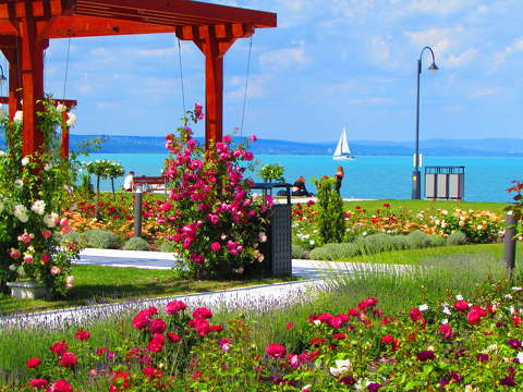 Balaton