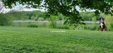 Etang