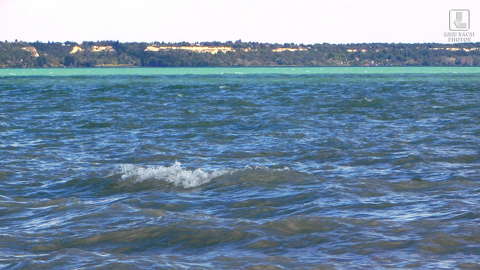 balaton, tó, hullámok