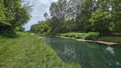 tavasz