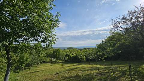 tavasz