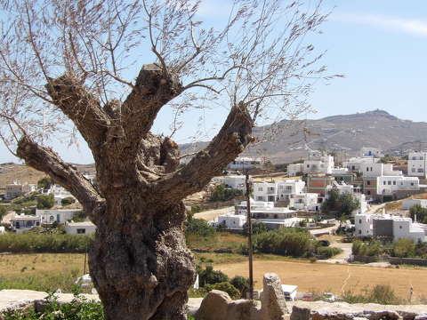 Mykonos,Görögország