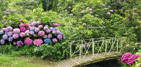 Parc Floral