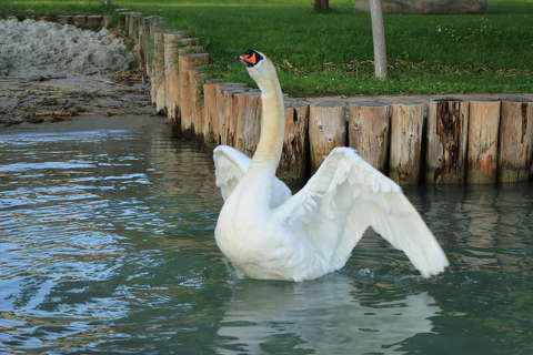 Balatonfűzfő