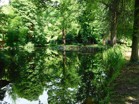 Szombathely, Kámoni arborétum, tükröződés
