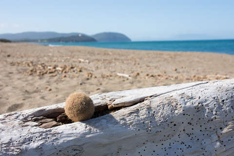 Olaszország, San Vincenzo