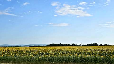 magyarország