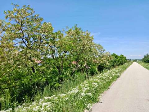 Kőtelek a Tisza gátja.