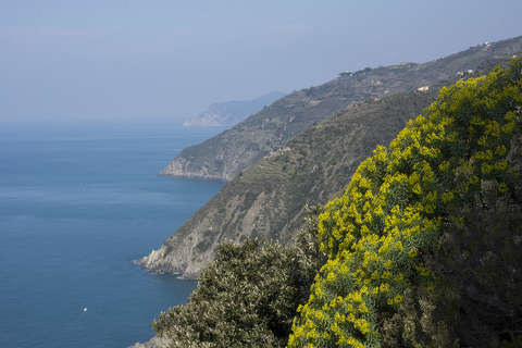 Cinque Terre, Olaszország