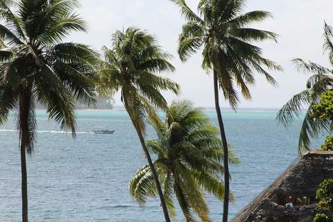 bora bora nyár pálma tenger