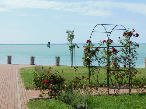 Balatonkenese