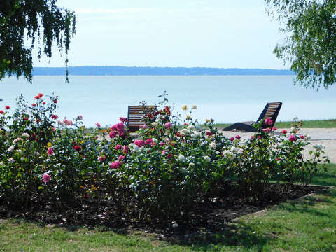 Balatonkenese