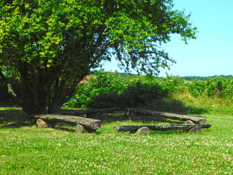 Baláca Régészeti Park - Nemesvámos