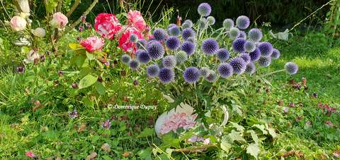 Jardin