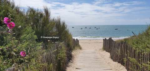 Plage de Domino - Saint-Georges-d'Oléron - France