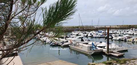 France - Port de La Palmyre