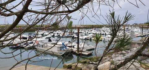France - Port de La Palmyre