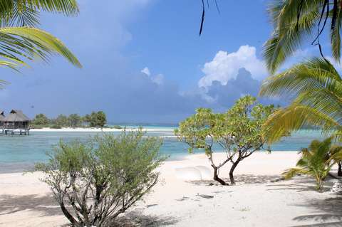 Tikehau (Tuamotu-szigetek)
