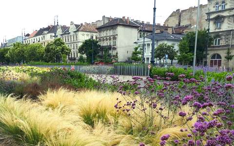 Budapest, Városliget, Dózsa György út