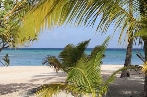 Tikehau (Tuamotu-szigetek)