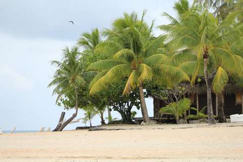 Tikehau (Tuamotu-szigetek)