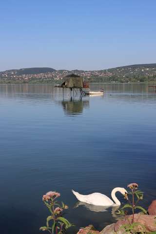 Balatonfűzfő