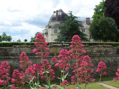 Châteauneuf-sur-Loire - France
