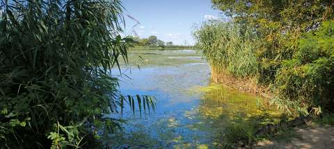 Tisza tó.