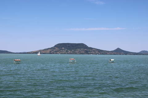 Kékség