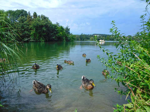 Csónakázó-tó - Szombathely